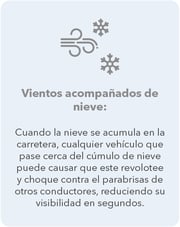 Infografía sobre Nevadas Skholl_Vientos acompañados de nieve